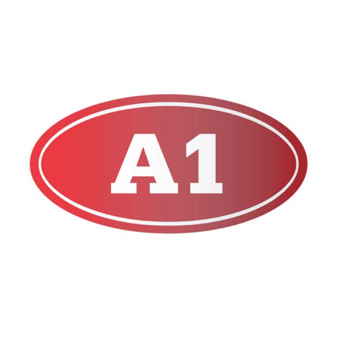 A1-Security-Logo.jpg